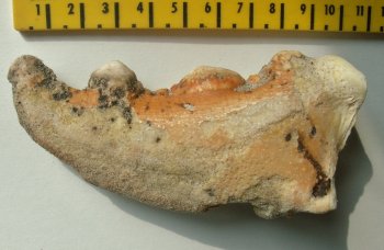 &copy; Thijs de Boer